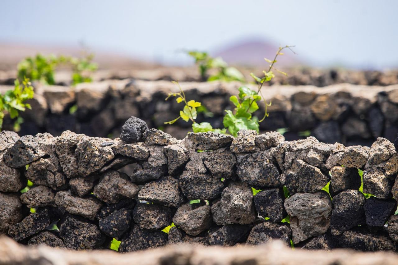 Отель Eslanzarote Eco Dome Experience Тегисе Экстерьер фото